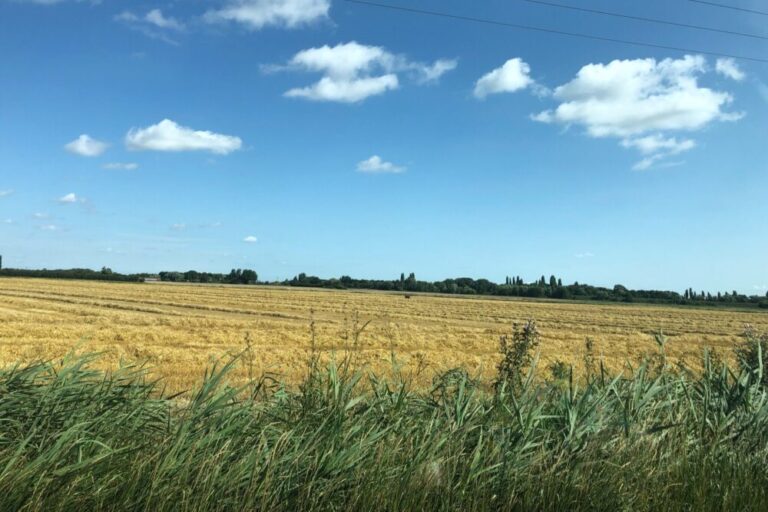 Fenland