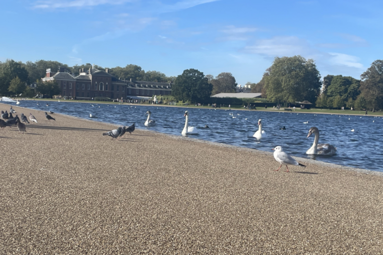 Kensington